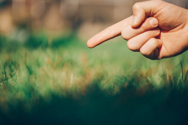 hand pointing to grass
